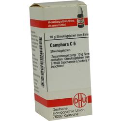 CAMPHORA C 6