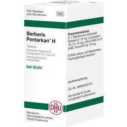 BERBERIS PENTARKAN H